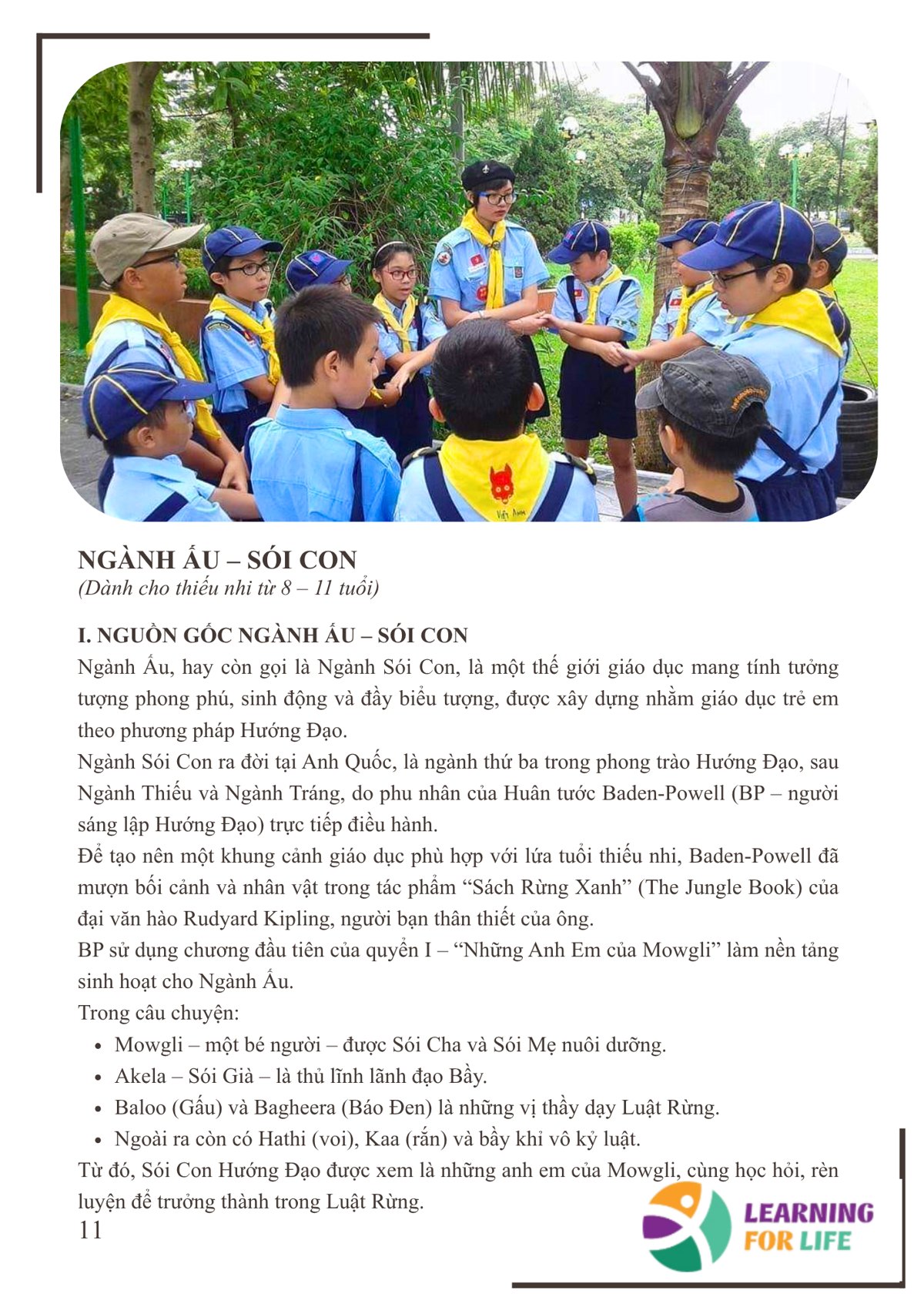 Minh họa Ngành Ấu – Sói Con
