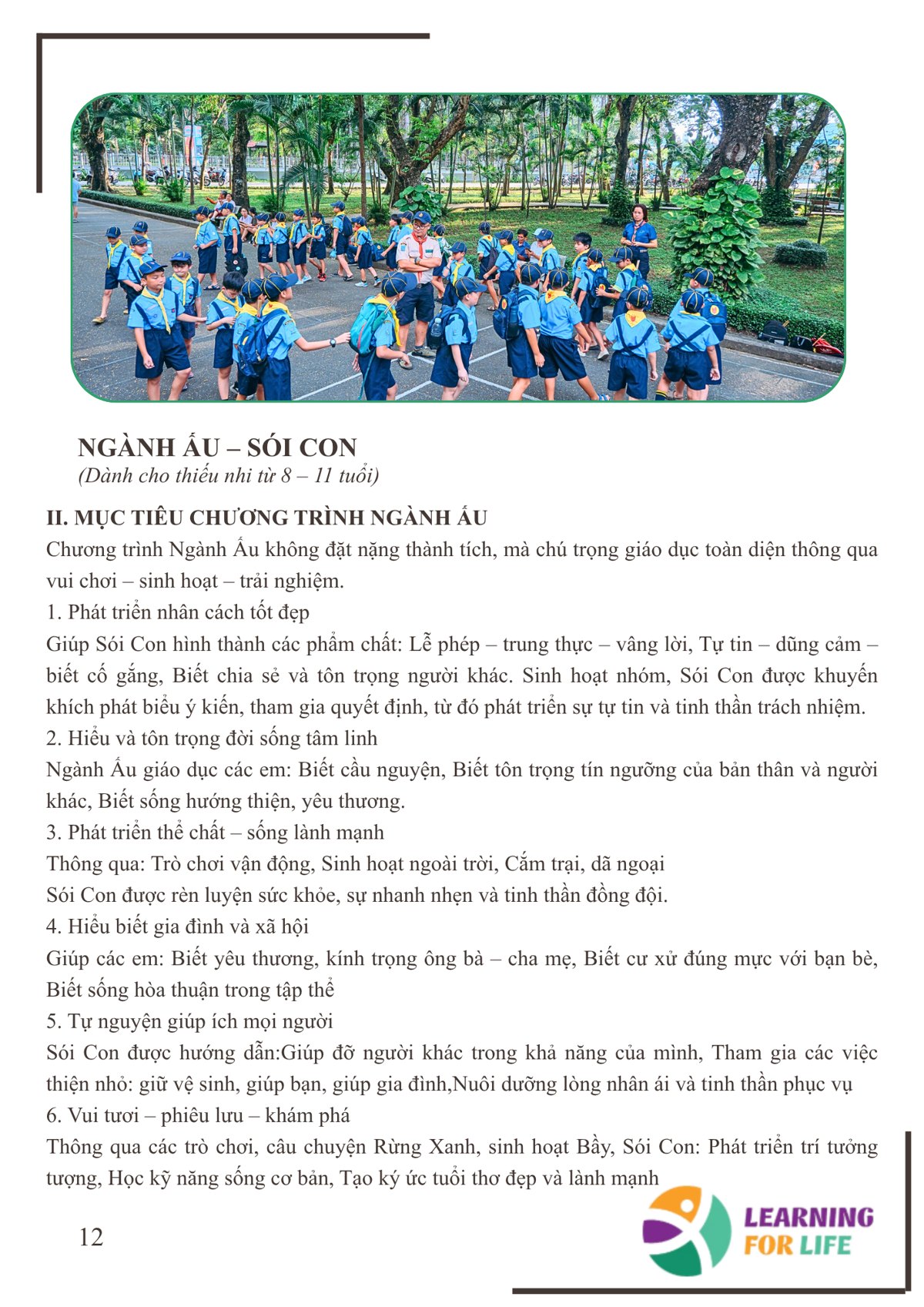 Trang 12 - Ngành Ấu – Sói Con
