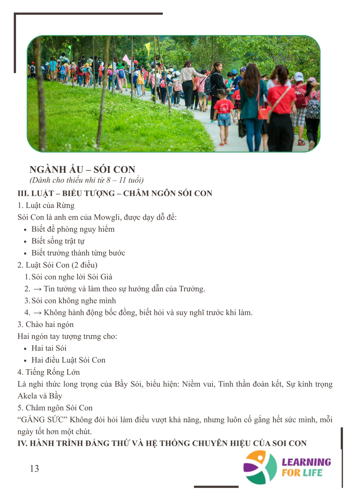 Trang 13 - Ngành Ấu – Sói Con