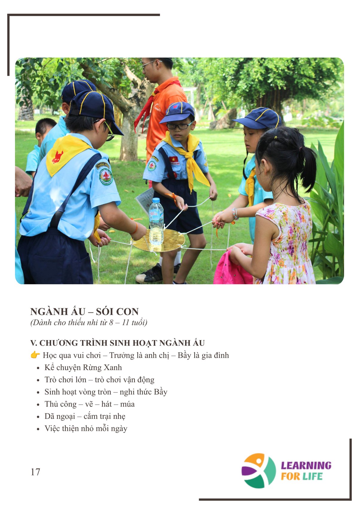 Trang 17 - Ngành Ấu – Sói Con