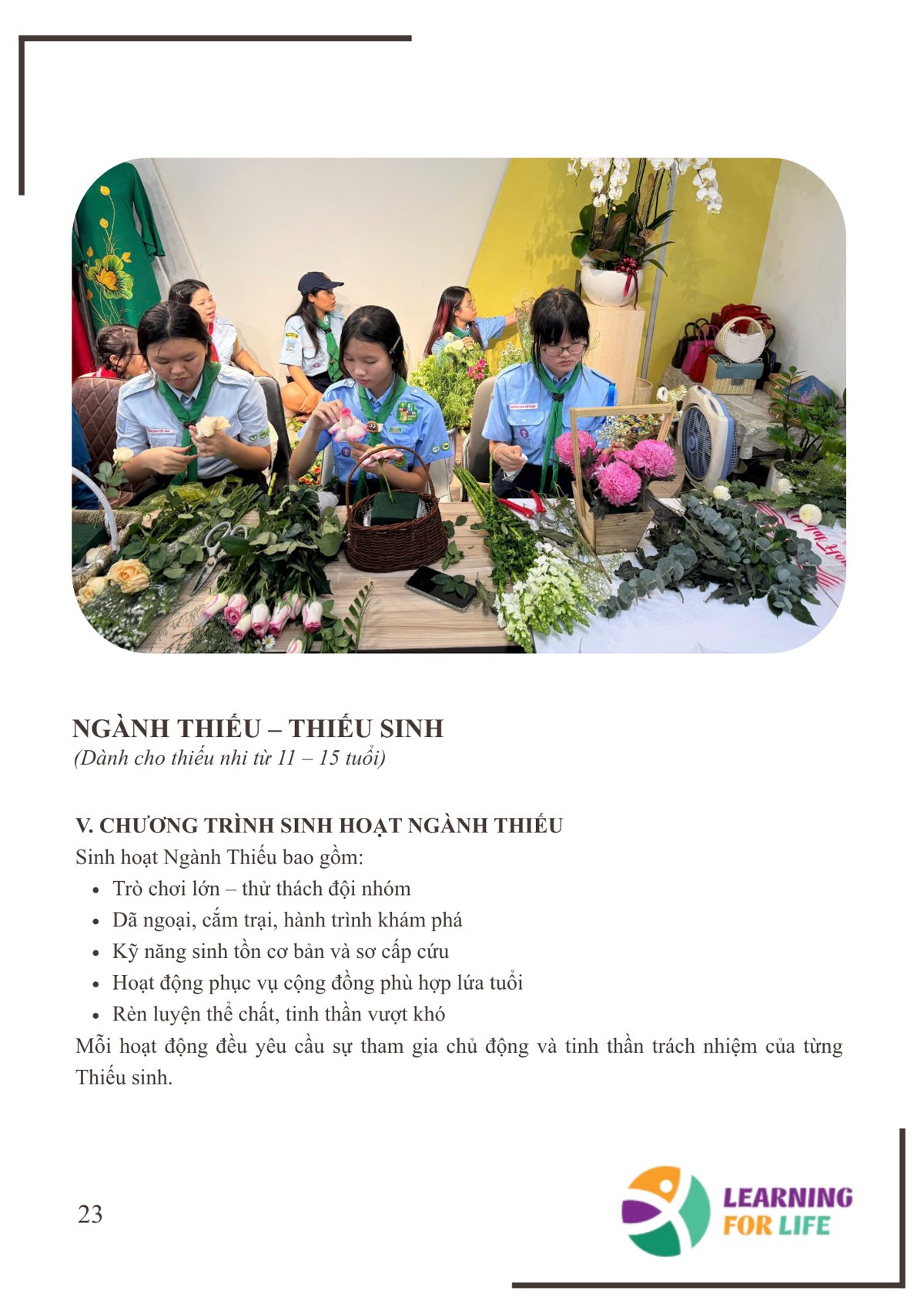 Trang 23 - Ngành Thiếu